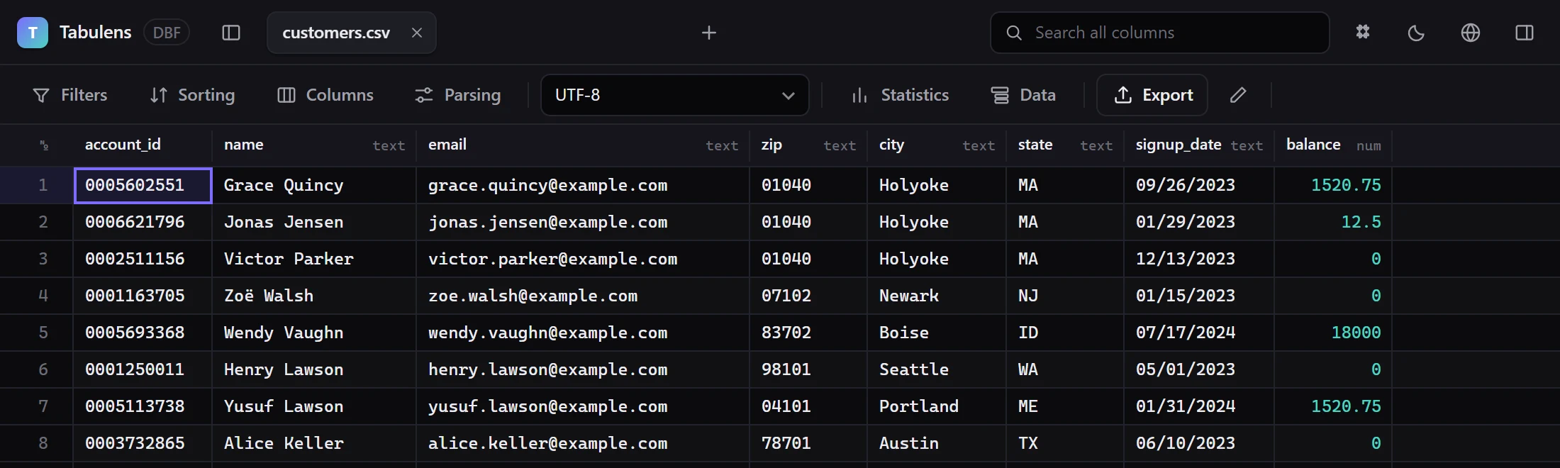 A customer CSV in the browser: encoding and delimiter detected, account IDs and ZIP codes keep their leading zeros