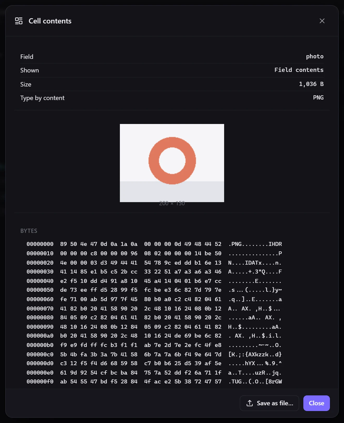 A photo from a SQLite BLOB field: the type is detected from the contents, the bytes are below